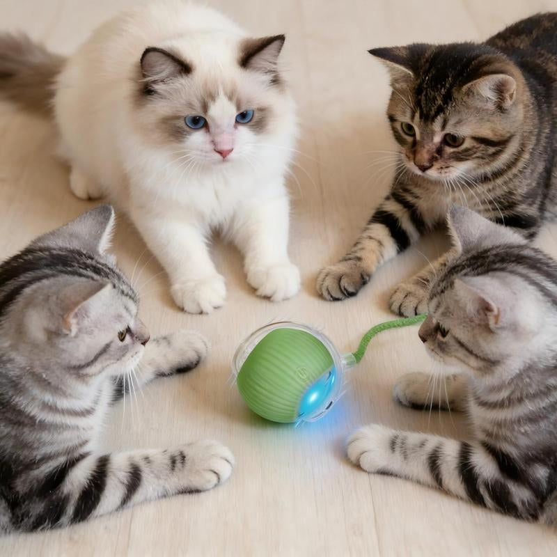 Interactive Cat Toys for Indoor Cats Smart Rolling Ball with Lights Rechargeable 3 Play Modes Auto Avoids Obstacles Green Design Gravity Fun