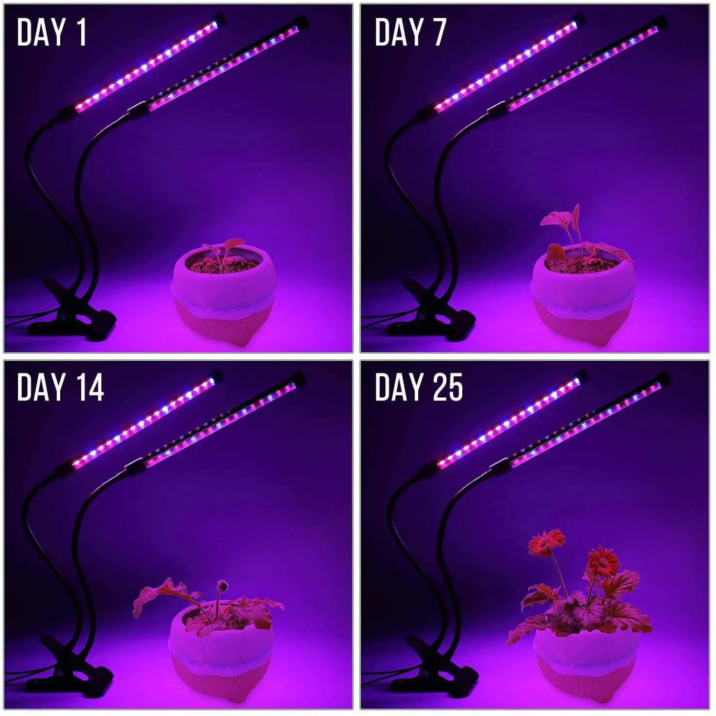 USB LED Plant Grow Light Indoor Garden 10 Dimmable Levels Grow Light Full Spectrum Timer Setting Hydroponic Greenhouse 3H/9H/12H