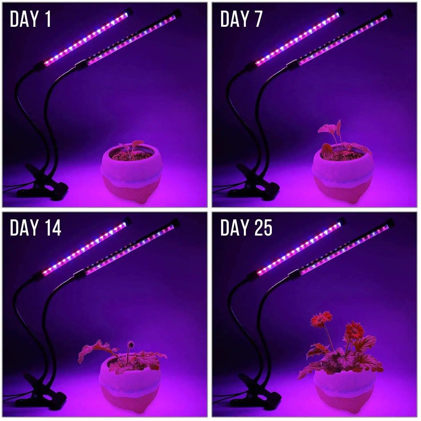 USB LED Plant Grow Light Indoor Garden 10 Dimmable Levels Grow Light Full Spectrum Timer Setting Hydroponic Greenhouse 3H/9H/12H